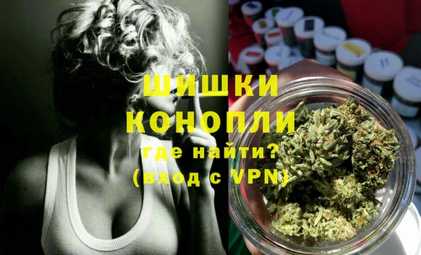 индика Алзамай