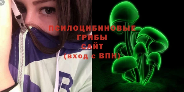 трава Переславль-Залесский
