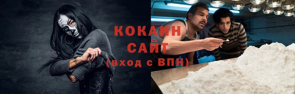 индика Алзамай