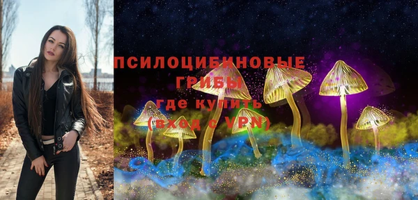 индика Алзамай