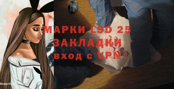 индика Алзамай