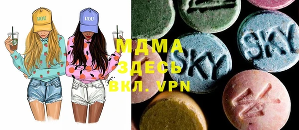 индика Алзамай