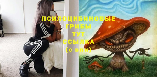 индика Алзамай