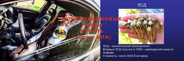 бошки Алексеевка