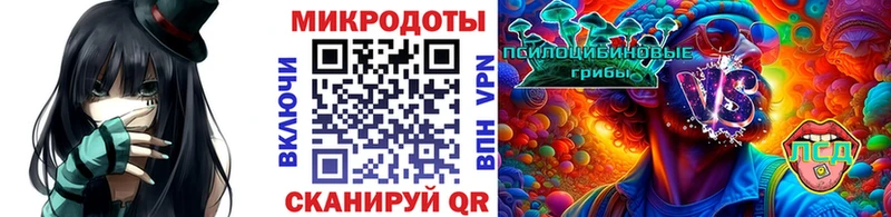 Галлюциногенные грибы Psilocybe  что такое   Амурск 